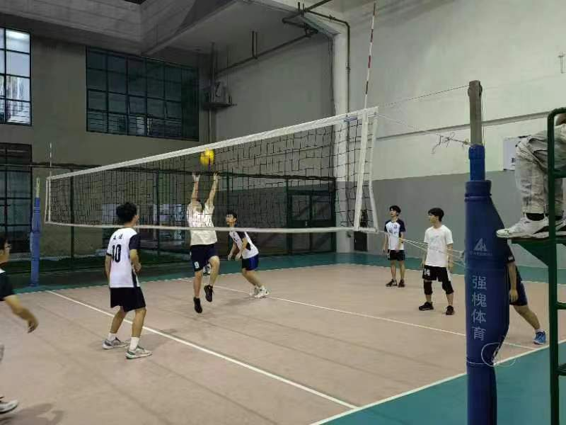 爱情岛论坛