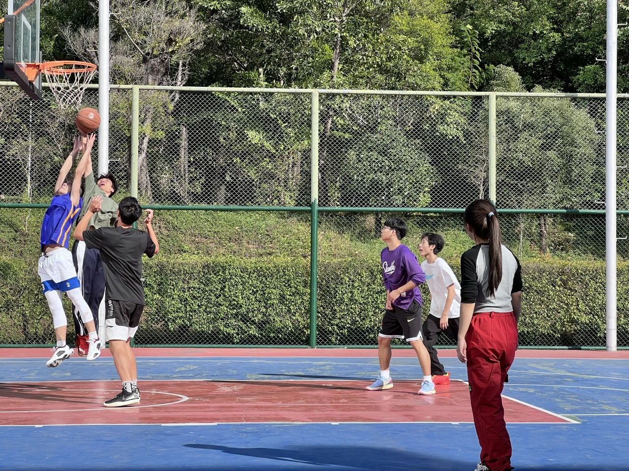 爱情岛论坛