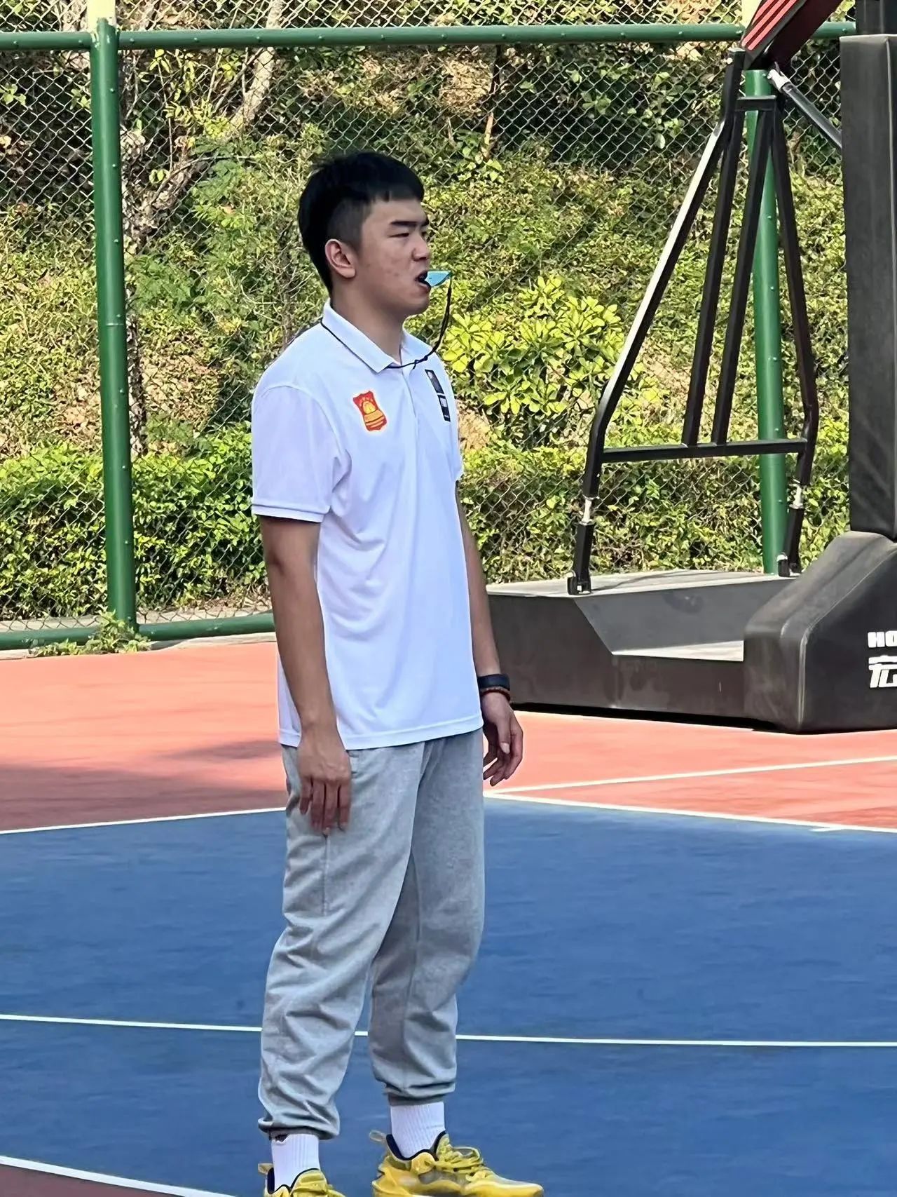 爱情岛论坛