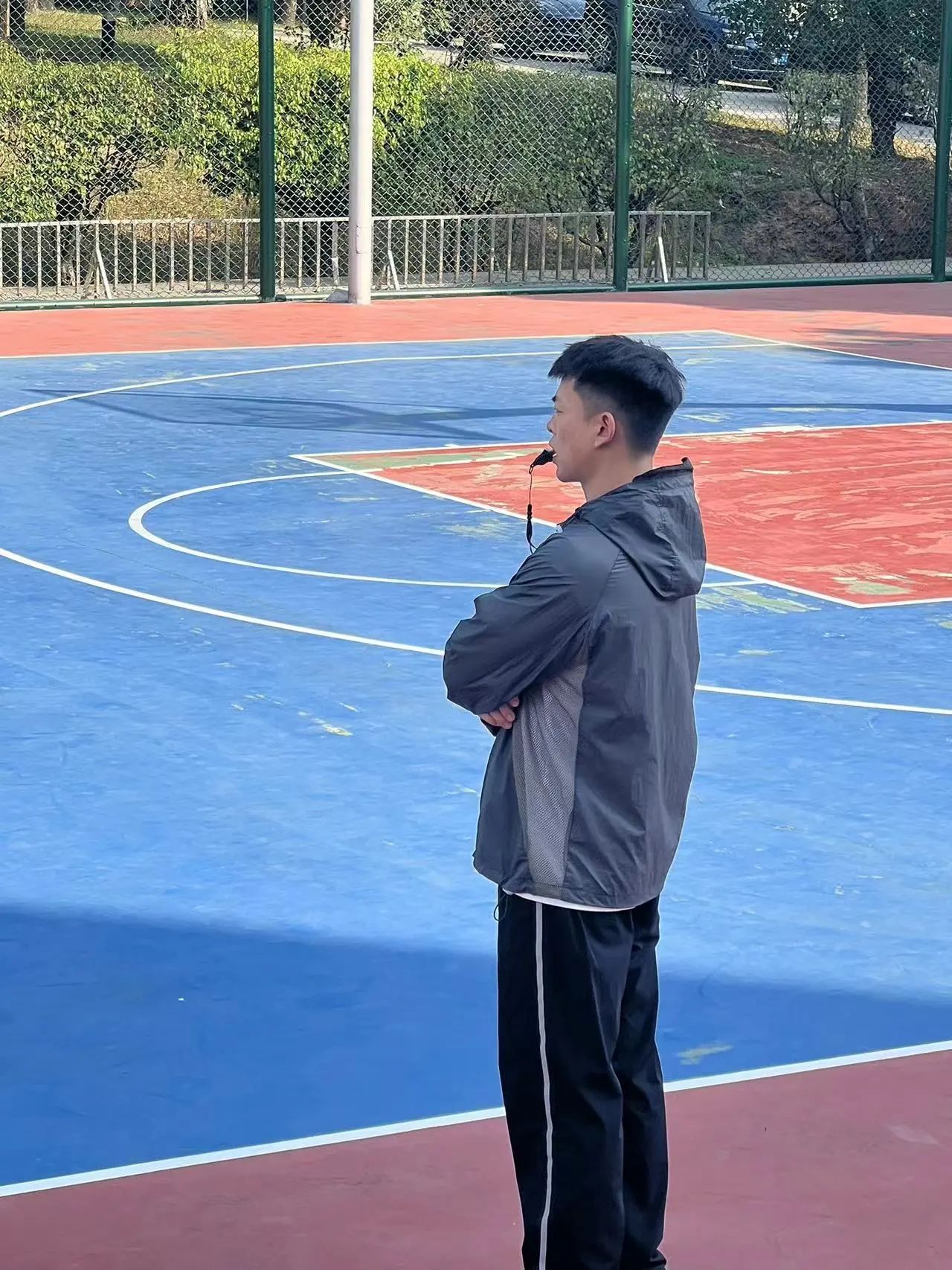 爱情岛论坛